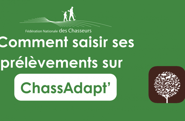 ChassAdapt’, on vous explique tout ! 🐦