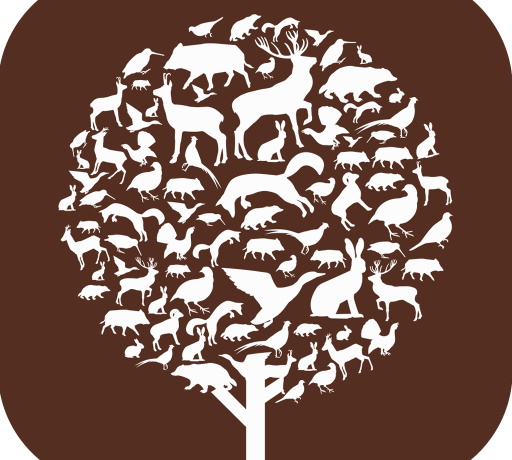 ChassAdapt : le carnet de chasse numérique indispensable pour l’avenir de la chasse🌿