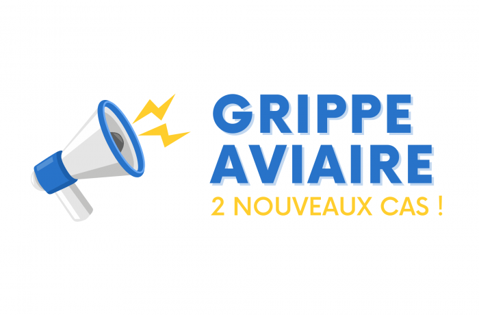 Grippe aviaire : 2 nouveaux cas !