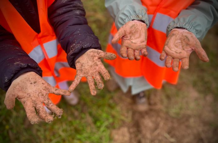 Bilan Sensibilis’haie 2025 : une mobilisation collective au service de la biodiversité !