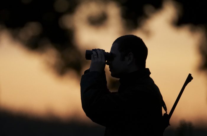 Le tir d’été : une chasse d’observation et de gestion