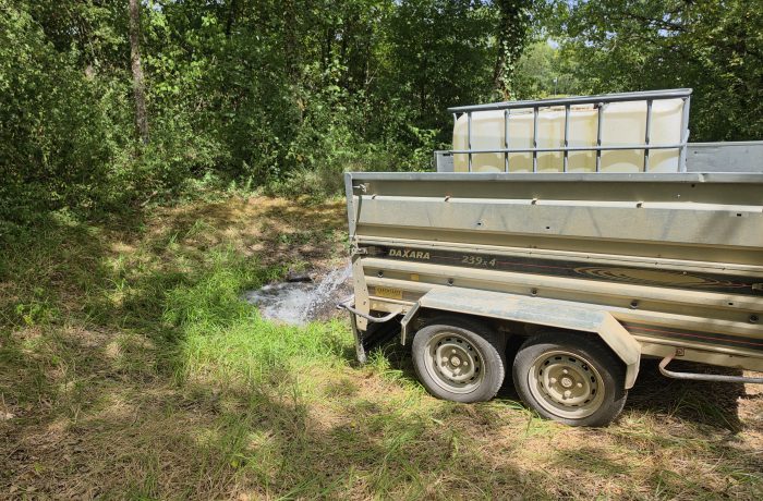 Sécheresse et apport d’eau à la faune sauvage