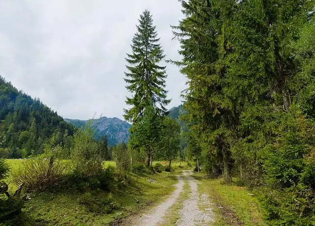 Guide de la chasse en coeur de Parc National de Forêts 2026/2027